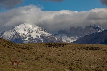7P8A0519 Torre del Paine NP Patagonia Chile