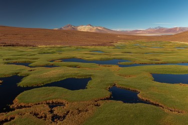 7P8A7354 Laguna Negro Francisko Parque Nacional Tres Cruces Desierto de Atacama Chile