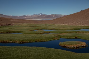 7P8A7374 Laguna Negro Francisko Parque Nacional Tres Cruces Desierto de Atacama Chile