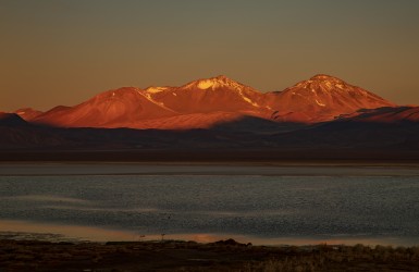 7P8A7642 Laguna Santa Rosa Parque Nacional Tres Cruces Desierto de Atacama Chile