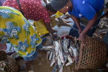 8R2A7188 Tribe Bakonjo Fish Market Q.E.NP West Uganda
