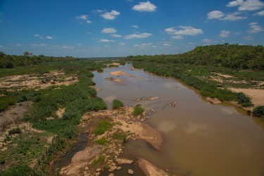 8R2A1322 Gorongosa River 7
