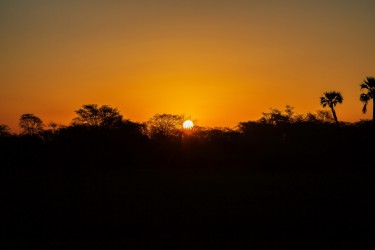 8R2A1537 Gorongosa NP Sunset