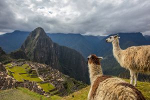 0S8A2942 Machu Picchu Peru