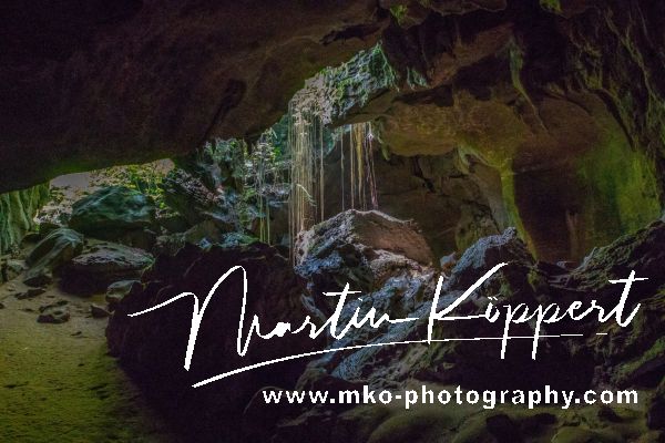 7P8A2074 Bat Cave Bukit Lawang Gunung Leuser NP North Sumatra Indonesia