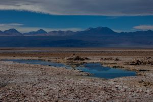 7P8A6007 Salar de Atacama Northern Chile