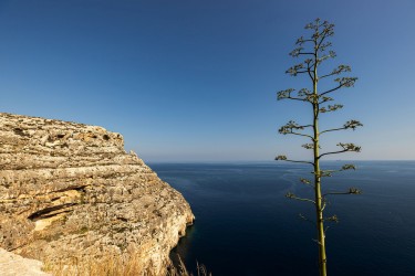 AO7I5413 Blue Grotto Malta