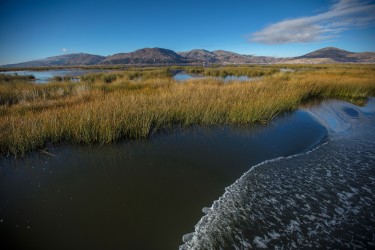 0S8A3006 Lago Titicaca Peru