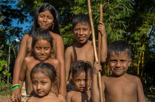 Tribe Boras Amazonas