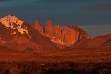 7P8A3121 Torre del Paine Patagonia Southern Chile