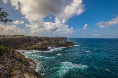 0S8A0873 Cliffs North Point Barbados Caribbean