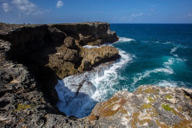 0S8A0892 Cliffs North Point Barbados Caribbean