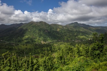 0S8A0534 Rain Forest Dominica Caribbean