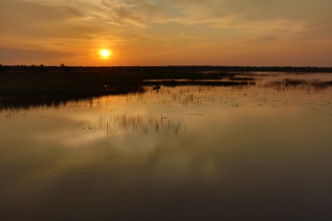0S8A9838 Sunset Wetland Mweru Wantipa NP North Zambia