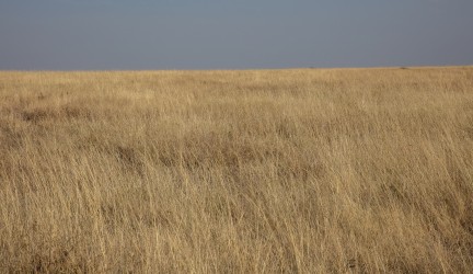 0S8A8446  Serengeti North Tanzania