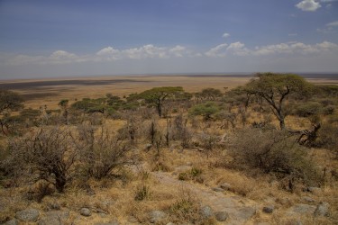 0S8A8461  Serengeti North Tanzania
