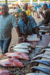 8R2A9841 Fish Market DAR Tanzania