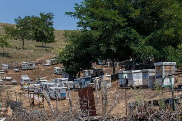 0S8A7040 Beehives Village Mariovo Region Southeast Macedonia