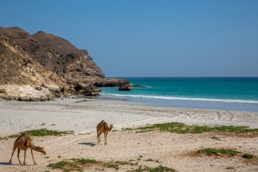 8R2A2185 Al Mughsail Beach South Oman