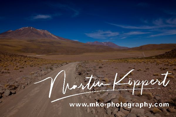 0S8A1925 Altiplano Bolivia