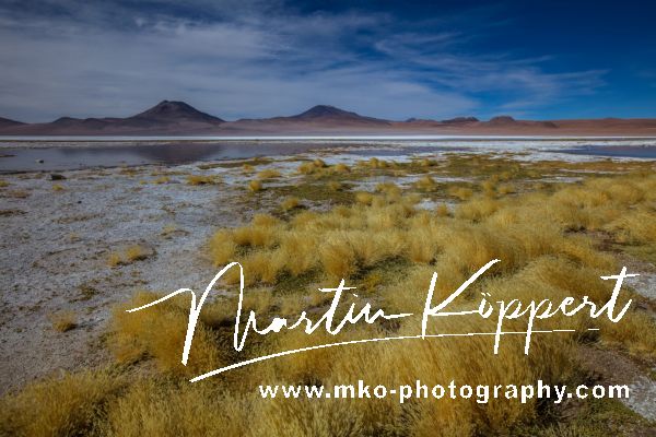 0S8A2017 Laguna Kara Altiplano Bolivia