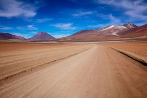 0S8A2051 Desierto de Dali Altiplano Southwestern Bolivia