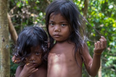 AI6I5340 Tribe Anak Dalam Bukit Duabelas NP South Sumatra