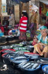8R2A3356 Market Ampenang Lombok Indonesia