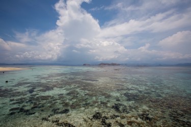 8R2A4297 Makassar Reef Flores Sea indonesia