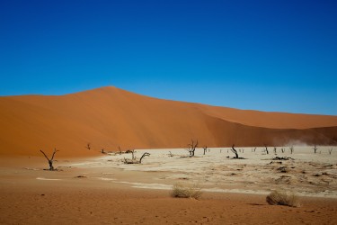 8R2A5290 Sossusvlai Namib Desert West Namibia