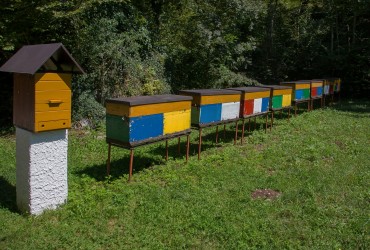 8R2A2649 beehives Soca Valley Alps Slovenia
