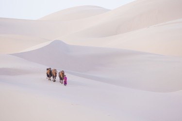 996a0018 khongorynels dunes gobi mongolia