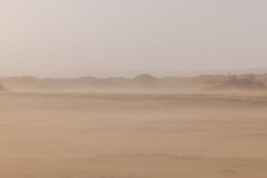 996a9714 khongorynels dunes gobi mongolia