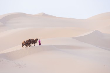 996a9937 khongorynels dunes gobi mongolia