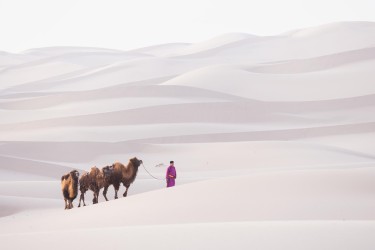 996a9978 khongorynels dunes gobi mongolia
