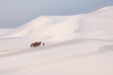 996a9996 khongorynels dunes gobi mongolia