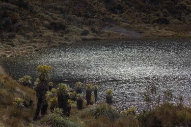 996a2854 paramo del angel volcano chile ecuador