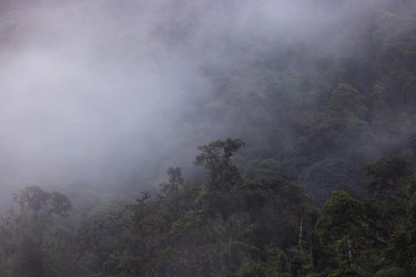 bs2a5965 mindo cloud forest ecuador