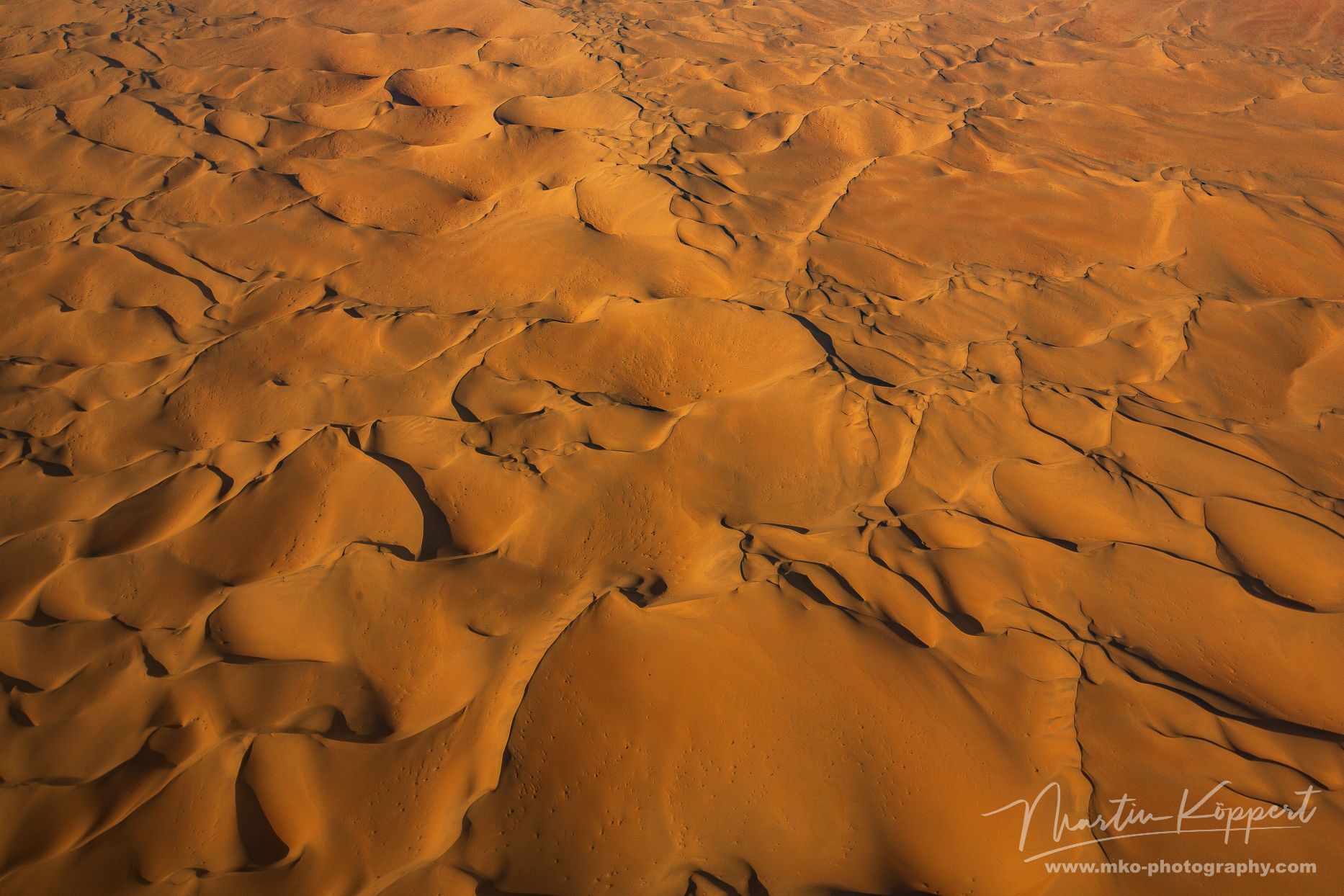 Namib Dunes Skeleton Coast Namibia