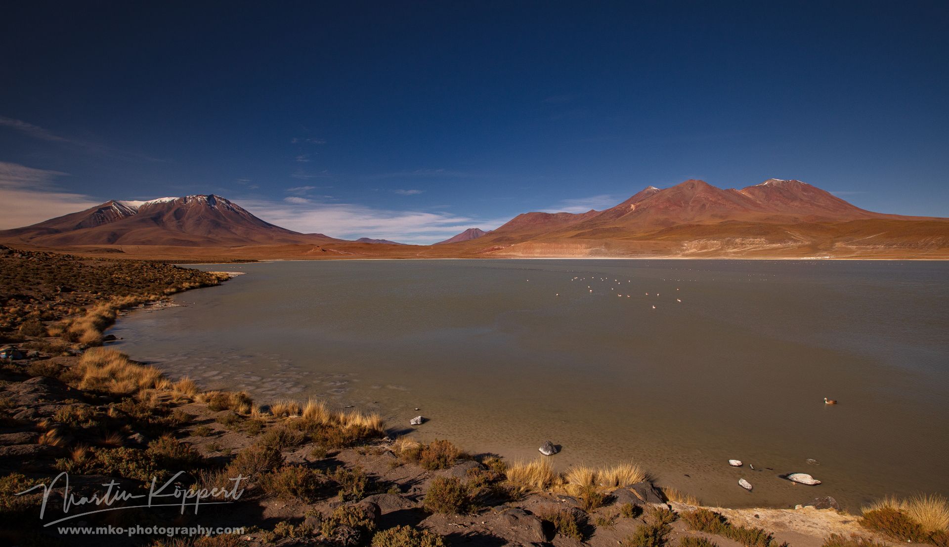 Laguna Hedionda Background Volcano Quecalla Corina Altiplano Bolivia