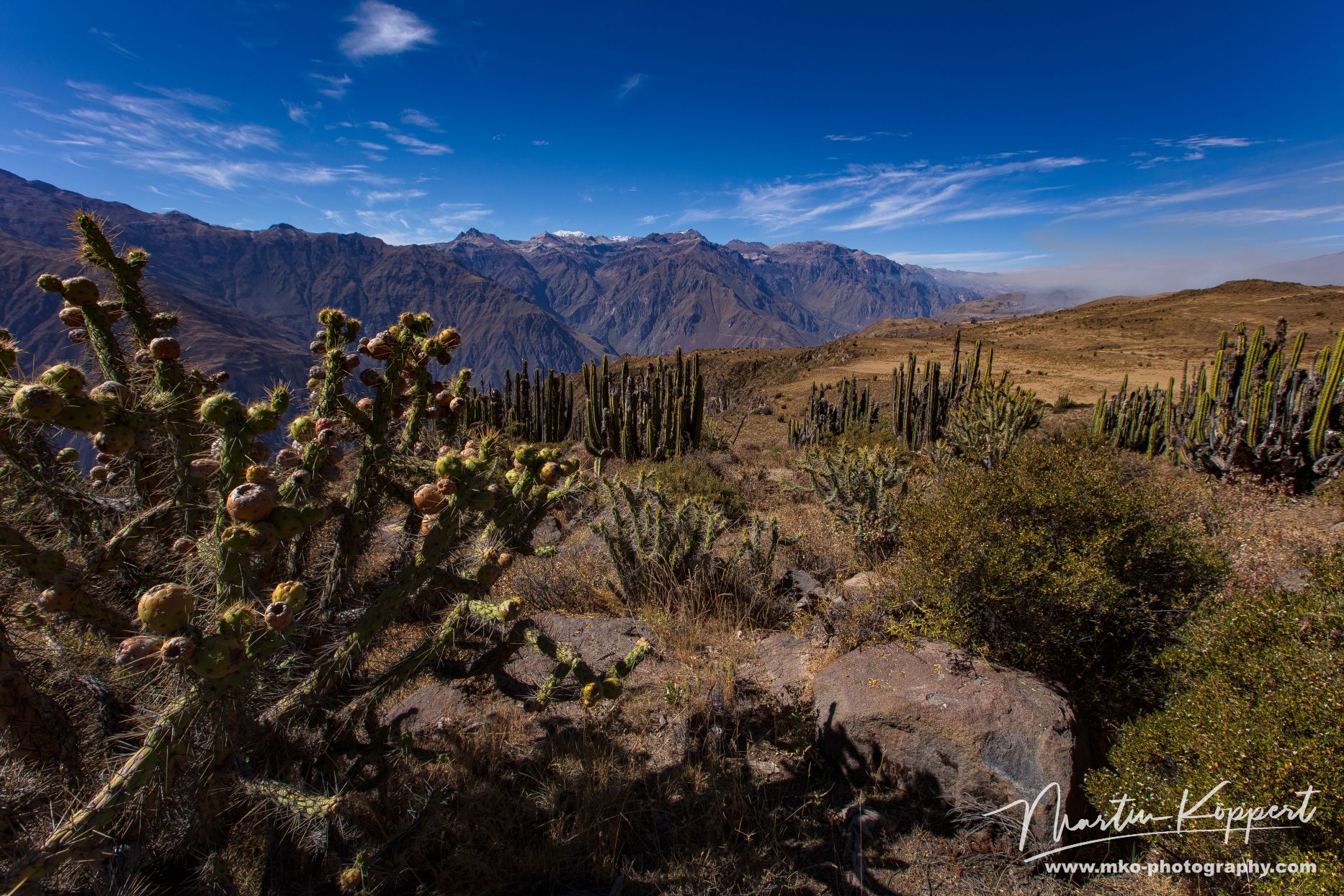 Cordilleras De Ampato Canyon De Colca South Peru