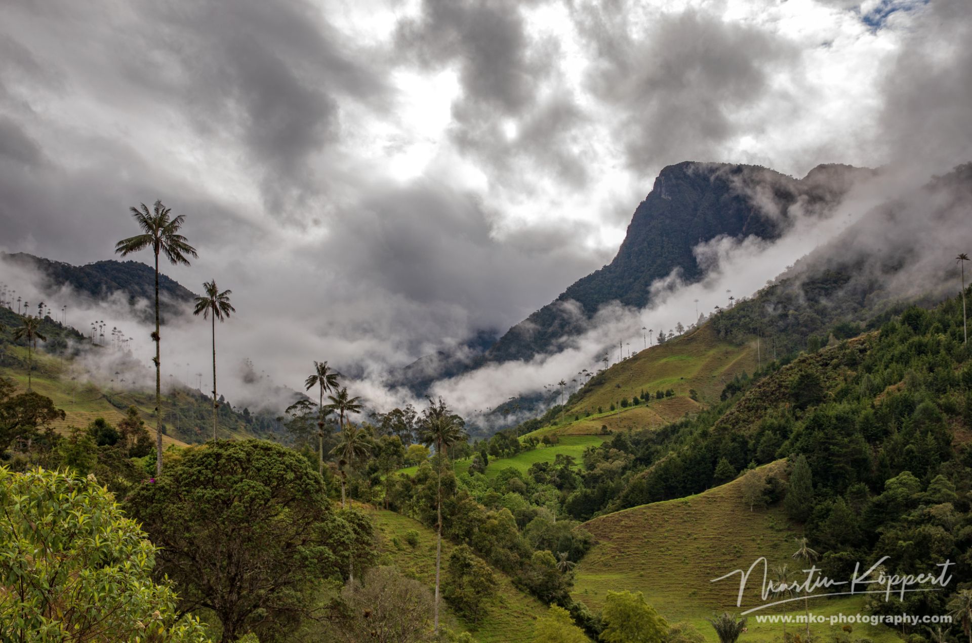 Valle Del Cocora Colombia