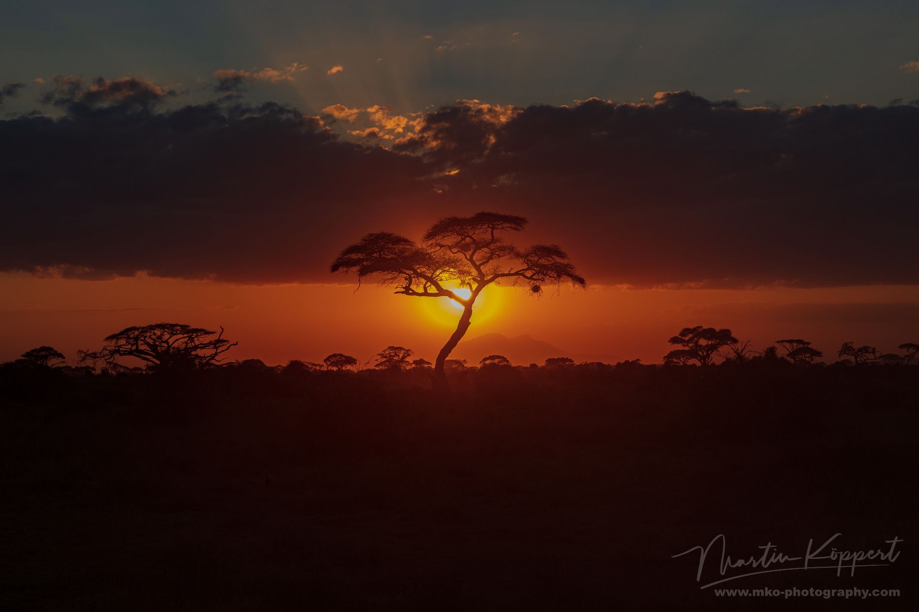Sunset Amboseli NP South Kenya