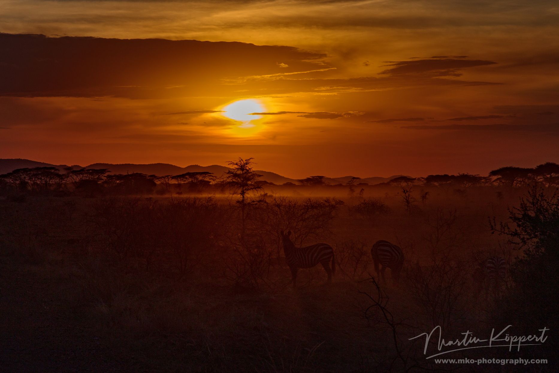 Serengeti North Tanzania