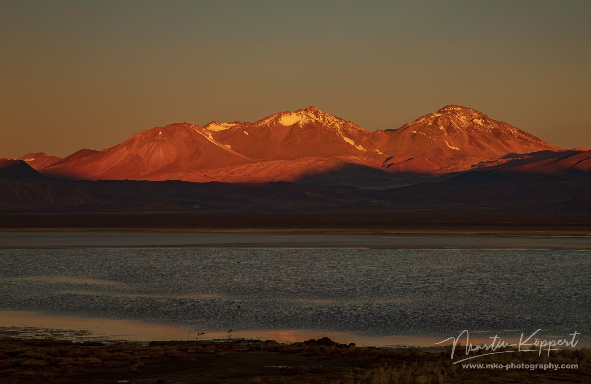 Laguna Santa Rosa Parque Nacional Tres Cruces Desierto De Atacama Chile